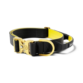 BullyBillows obojek Combat lighter 2,5 cm - černo/žlutá