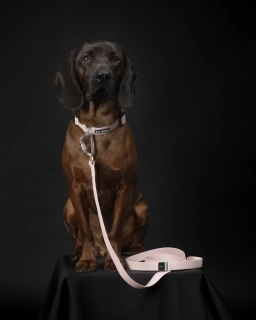 Svíticí vodítko Paikka – světle růžové